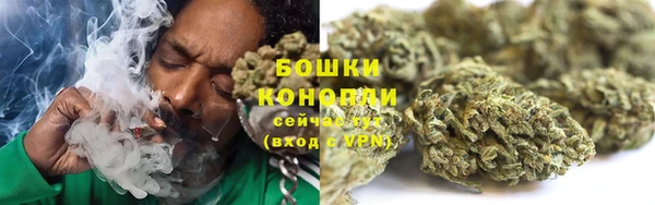 дурь Богородицк