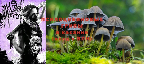 2c-b Богданович