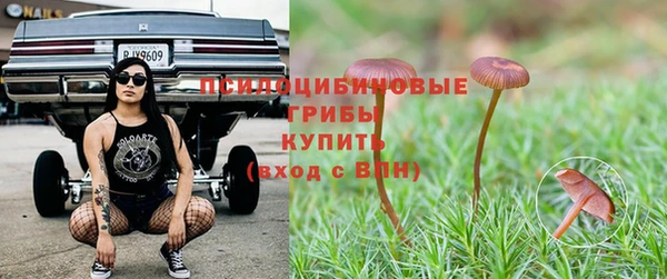 2c-b Богданович