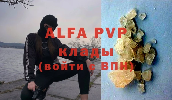 apvp Бородино