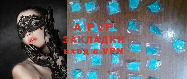 apvp Бородино